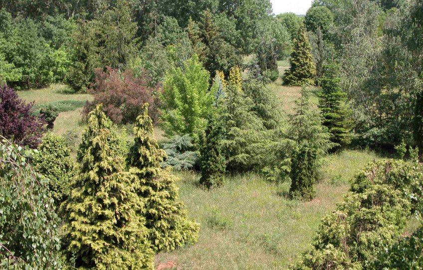 Püspökladány-Farkasszigeti Arborétum, Püspökladány, Hungary, Hungary